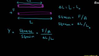 Youngs Modulus