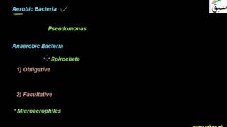 Respiration and Growth in Bacteria