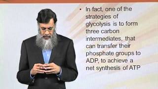 BIO202_Topic016