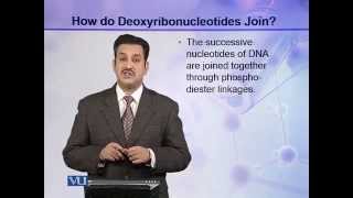 BIO302_Topic008