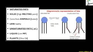 Saturated and Unsaturated Fats