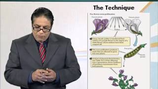 BIO201_Topic048