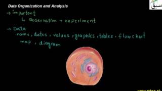 Data Organization and Analysis