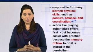 EDU201_Topic142