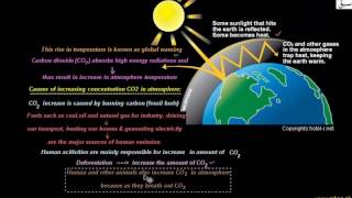Carbon Dioxide and Global warming