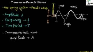 Transverse periodic Waves