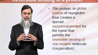 BIO202_Topic081
