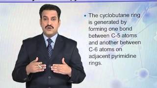 BIO302_Topic056