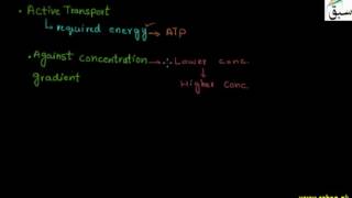 Passive Transport and Active Transport