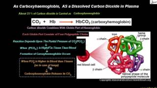 As Carboxyhaemoglobin, AS a Dissolved Carbon Dioxide in Plasma