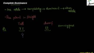 Complete Doimance