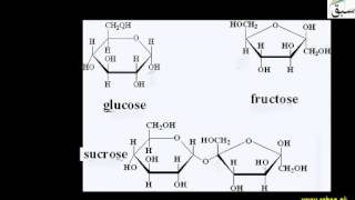 Building Blocks of Life, Mono and Polymers