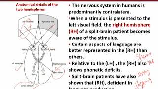 ENG511_Topic151