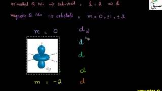 Shapes of d-Orbitals