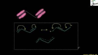 Conjugation in Alkene