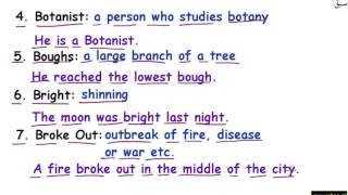 Use Words in Sentences part-4