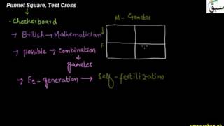 Punnet Square,Test Cross
