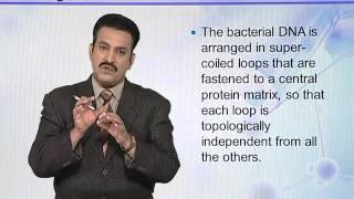 BIO302_Topic030
