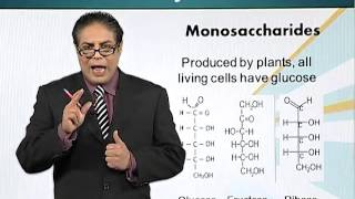 BIO201_Topic007