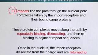 BIO201_Topic151