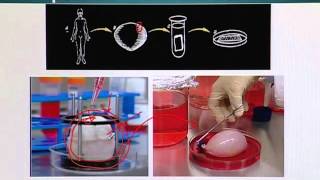 BIO201_Topic170
