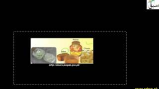 Scope and Importance of Biotechnology