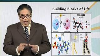 BIO201_Topic003