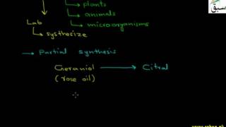 Partial and Total Synthesis