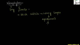 Osmotic Adjustments in Plants
