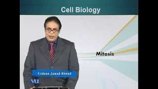BIO201_Topic041