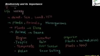 Biodiversity and its Importance