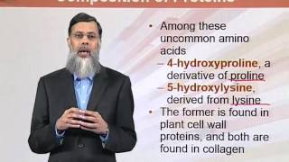 BIO202_Topic031