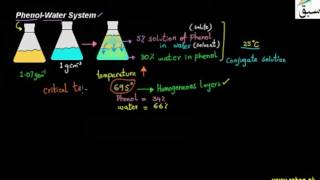 Phenol-Water System