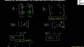 Minor of an Element of a Matrix or Its Determinant