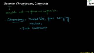 Gene and Genome, Chromosome, Chromatin
