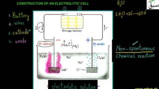 Construction of an Electrolytic Cell