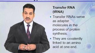 BIO302_Topic014