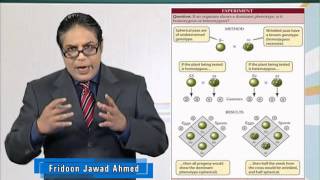 BIO201_Topic050