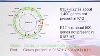 BIF733_Topic038