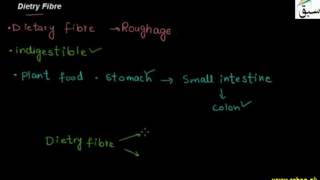 Water and Dietry Fibre