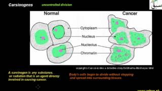 Carsinogens