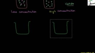 Effect of Concentration on Speed of Reaction