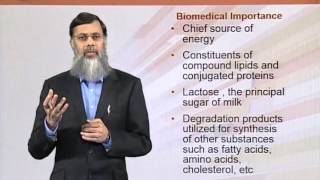 BIO202_Topic003