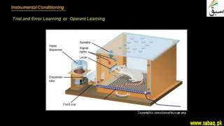 More on Learning Behaviour