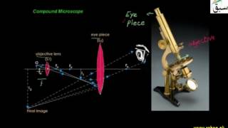 Introduction to Compound Microscope