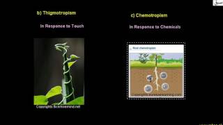 More on Tropic Movements