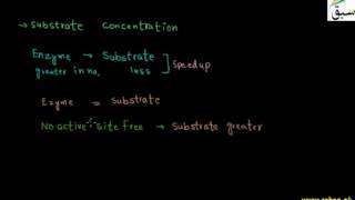 Factors Effecting the rate of Enzyme Action