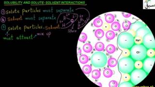 Solubility and Solute-Solvent Interactions