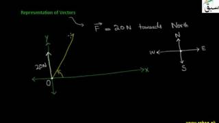 Representation of vectors