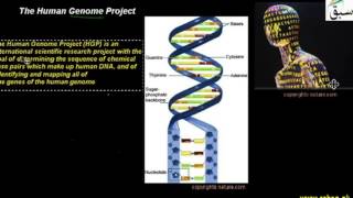 The Human Genome Project